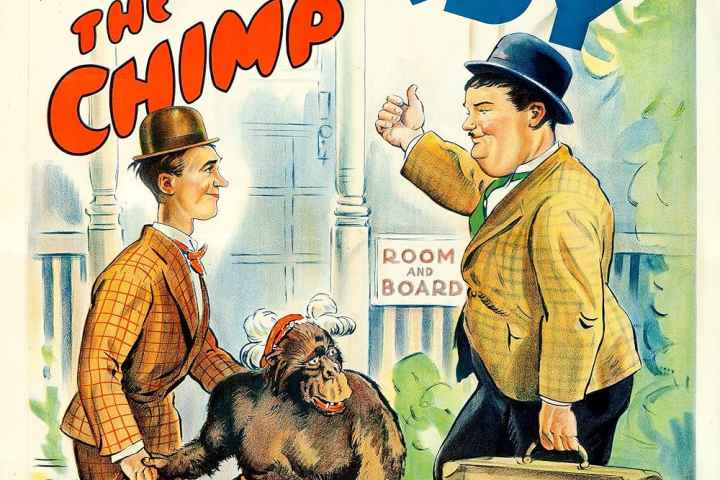The Chimp