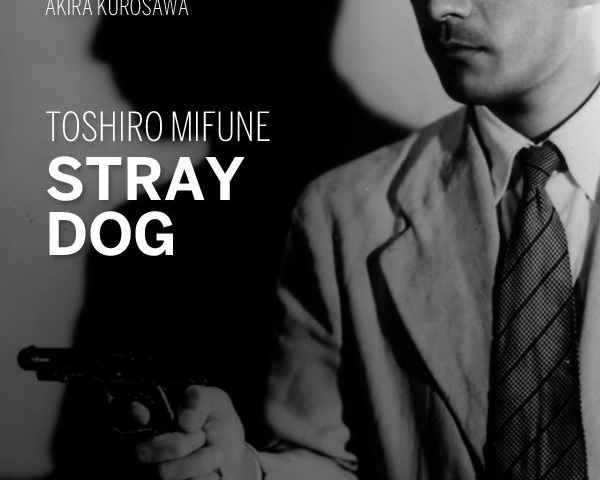 Stray Dog