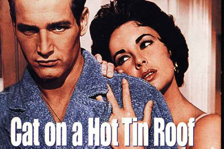 Cat on a Hot Tin Roof