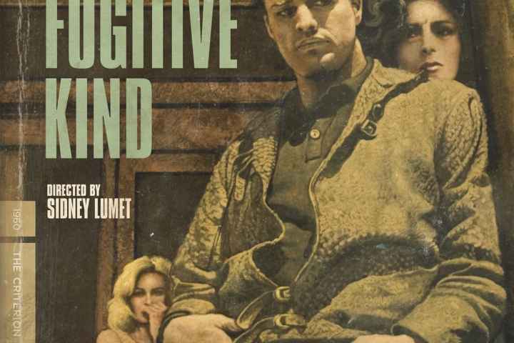 The Fugitive Kind
