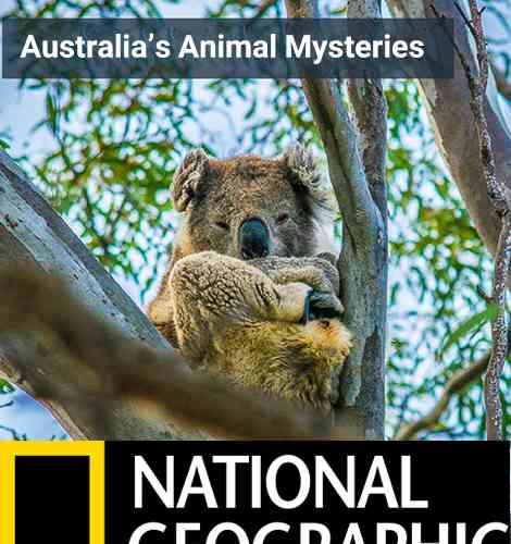 Australias Animal Mysteries