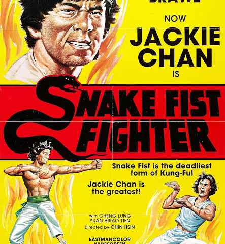 Snake Fist Fighter