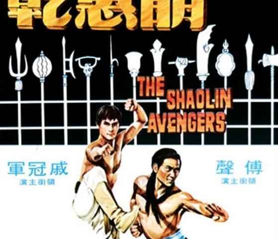 The Shaolin Avengers