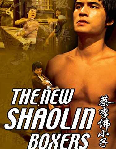 The New Shaolin Boxers