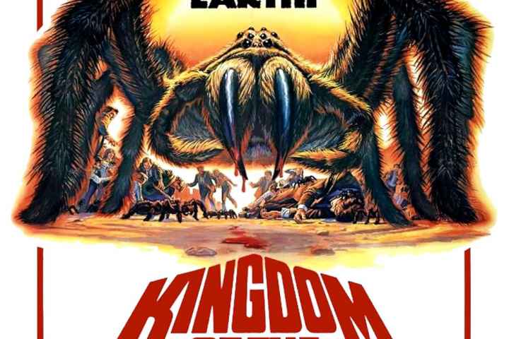 Kingdom of the Spiders