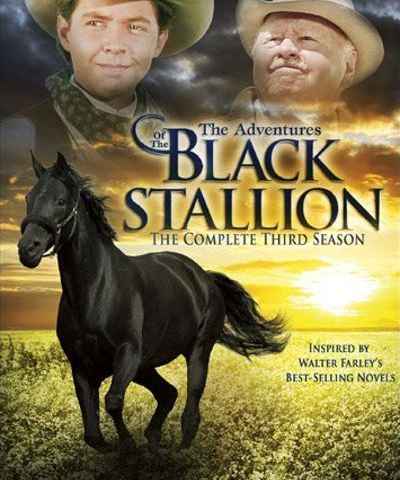 The New Adventures of the Black Stallion