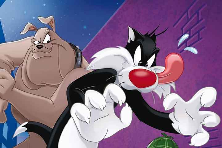The Sylvester & Tweety Mysteries