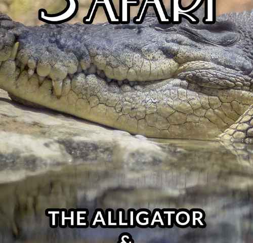 Safari The Alligator and American Crocodile
