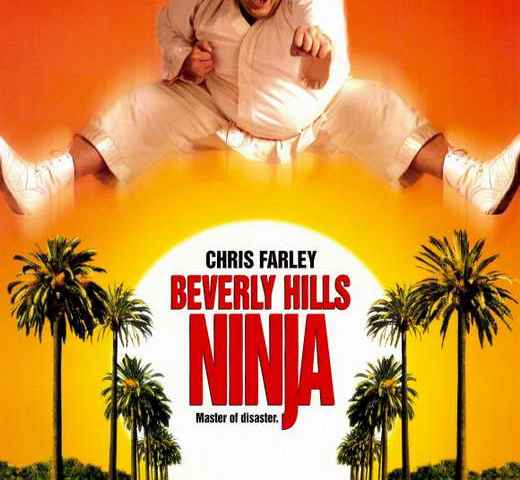 Beverly Hills Ninja