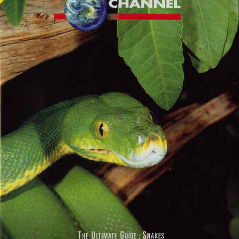 The Ultimate Guide Snakes