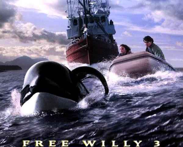 Free Willy 3 The Rescue