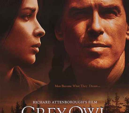 Grey Owl