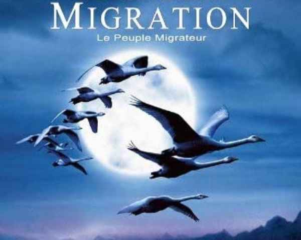 Winged Migration