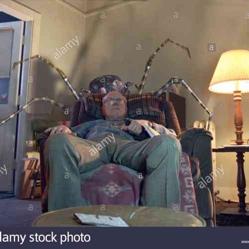 Spider
