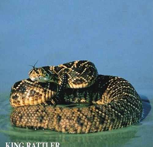King Rattler