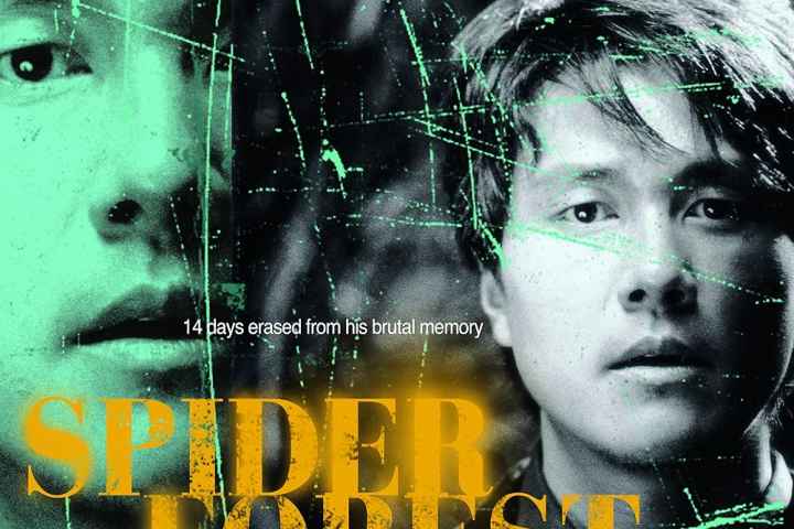 Spider Forest