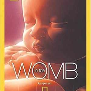In the Womb