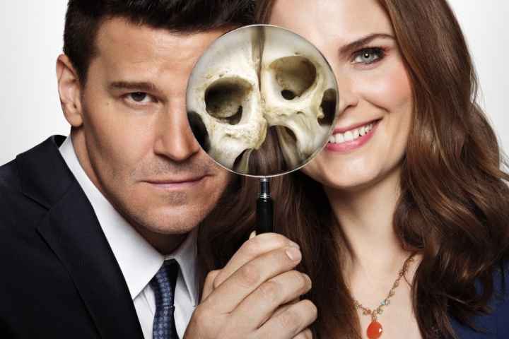Bones