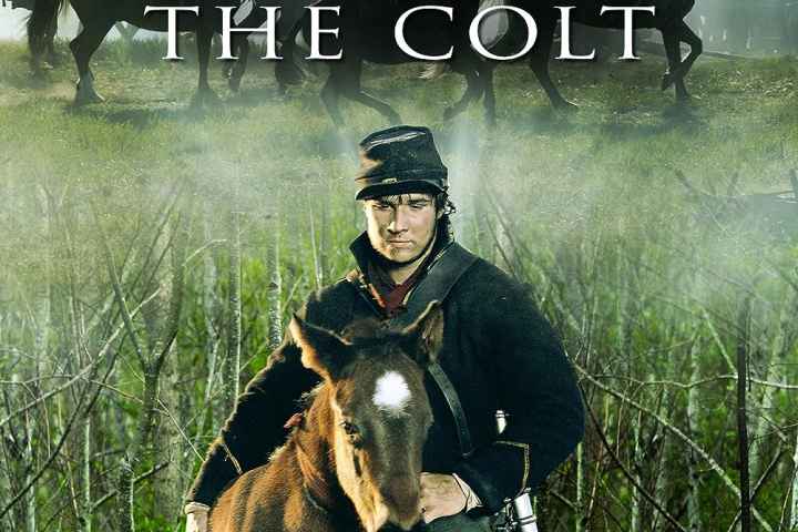 The Colt