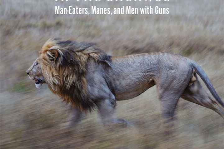 The Man Eating Lions