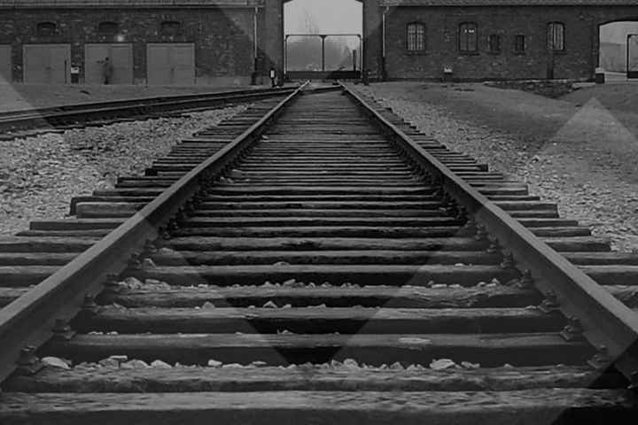 Auschwitz The Final Solution