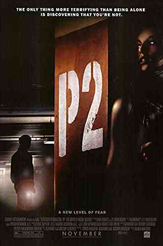 P2 2007