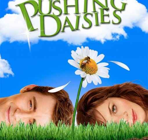 Pushing Daisies