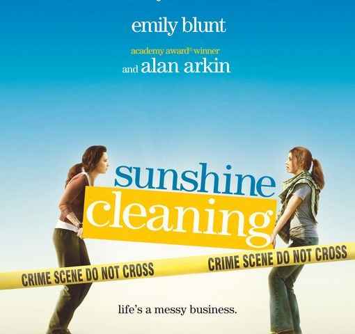Sunshine Cleaning