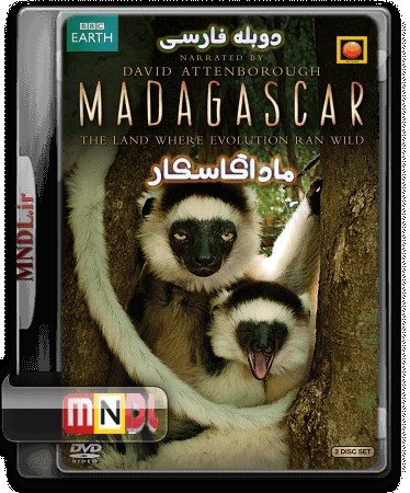 Fantastic creatures of Madagascar