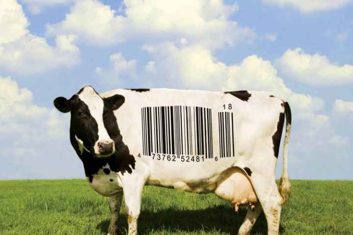 Food Inc