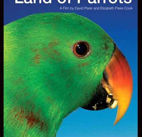 Australia Land of Parrots