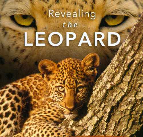Revealing the Leopard