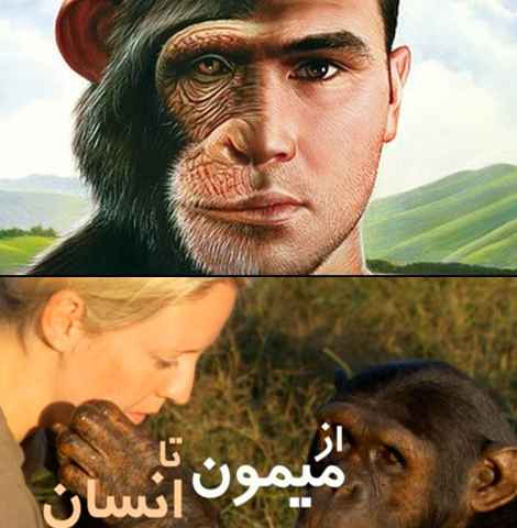 From monkey to human