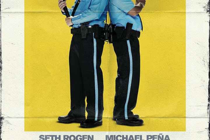 Observe and Report
