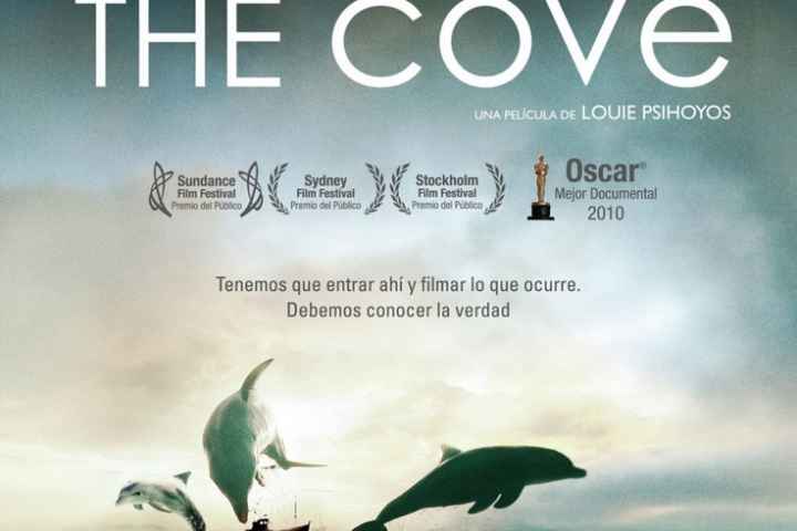 The Cove