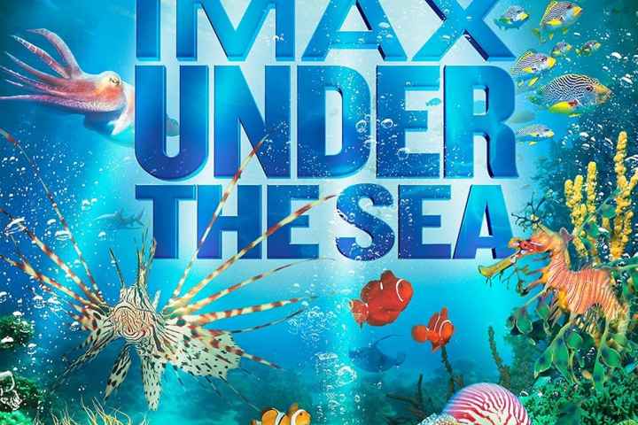 Under the Sea 3D