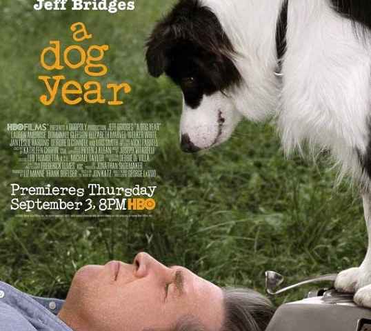 A Dog Year
