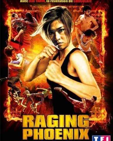 Raging Phoenix