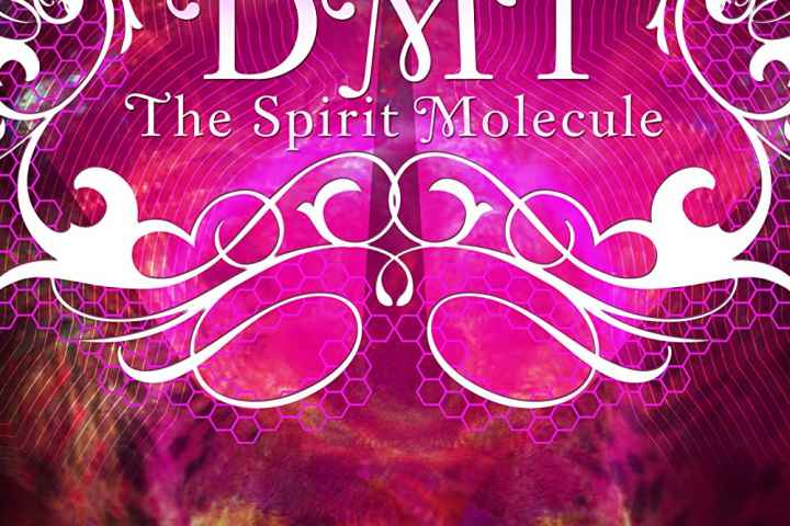 DMT The Spirit Molecule