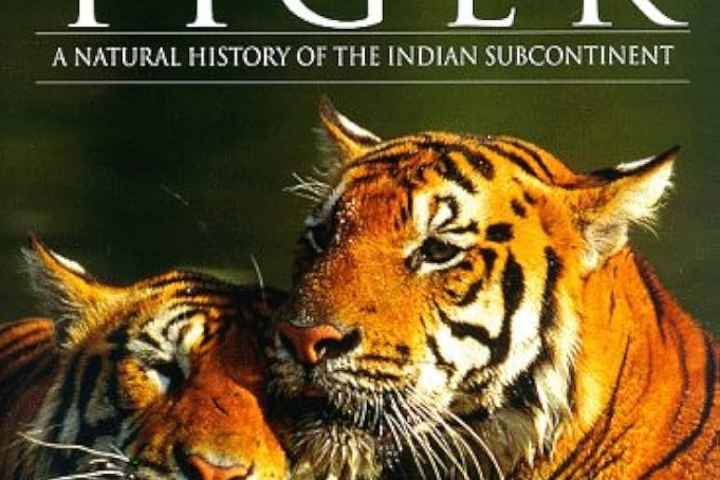 Land of the Tiger