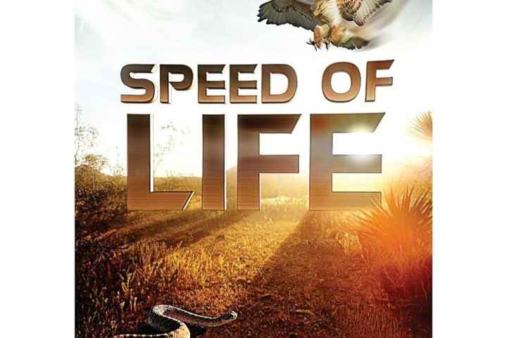 Speed of Life