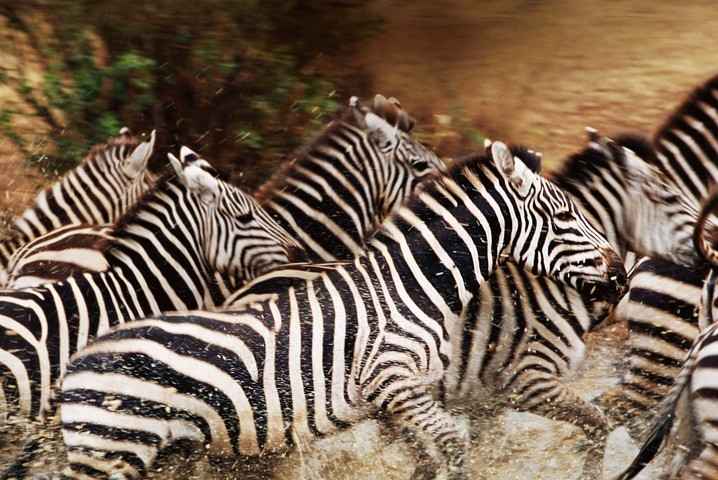 Great Migration