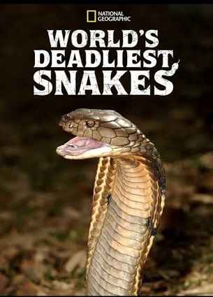 Worlds Deadliest