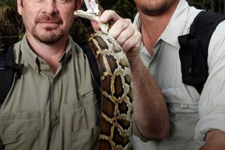 Python Hunters