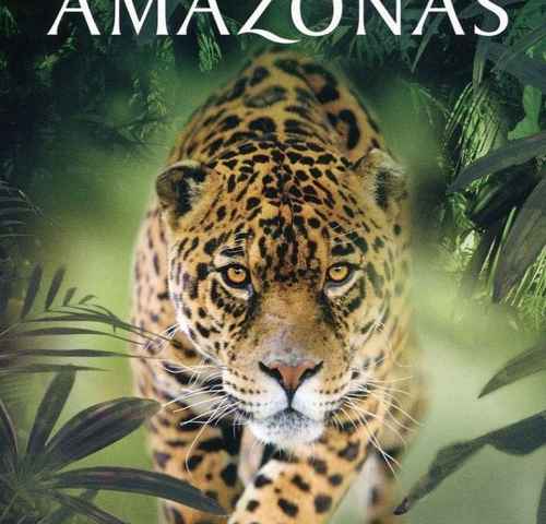 Amazon Alive