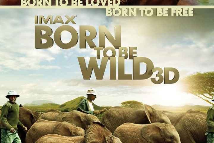 Born to Be Wild