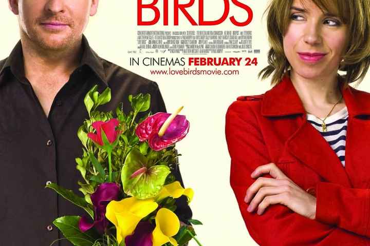 Love Birds