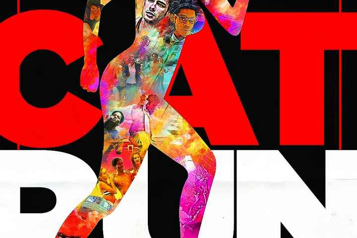 Cat Run