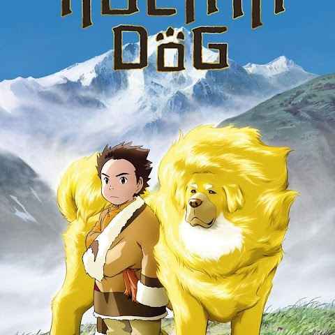 Tibetan Dog