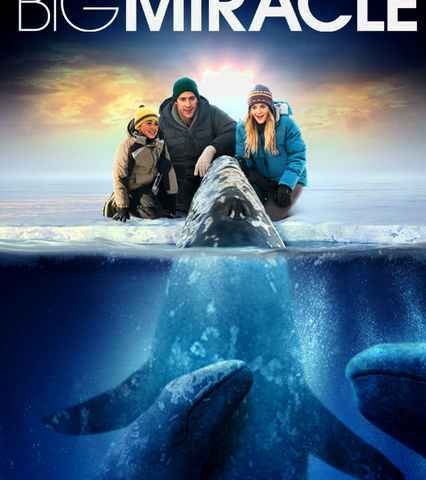 Big Miracle